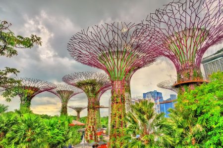 Singapore Gardens by The Bay