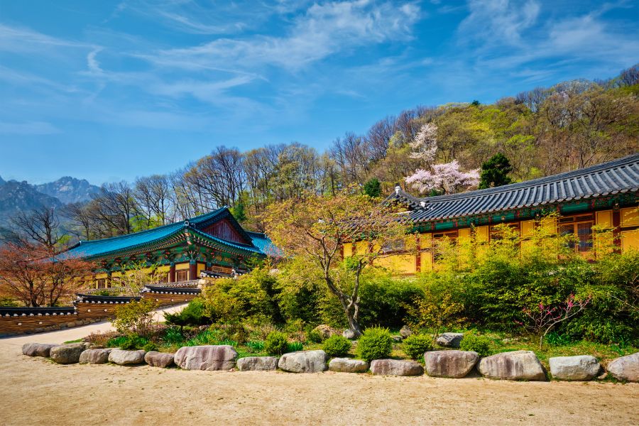 Paket Tour Korea 6 Hari : Nami Island – MT. Sorak – Seoul